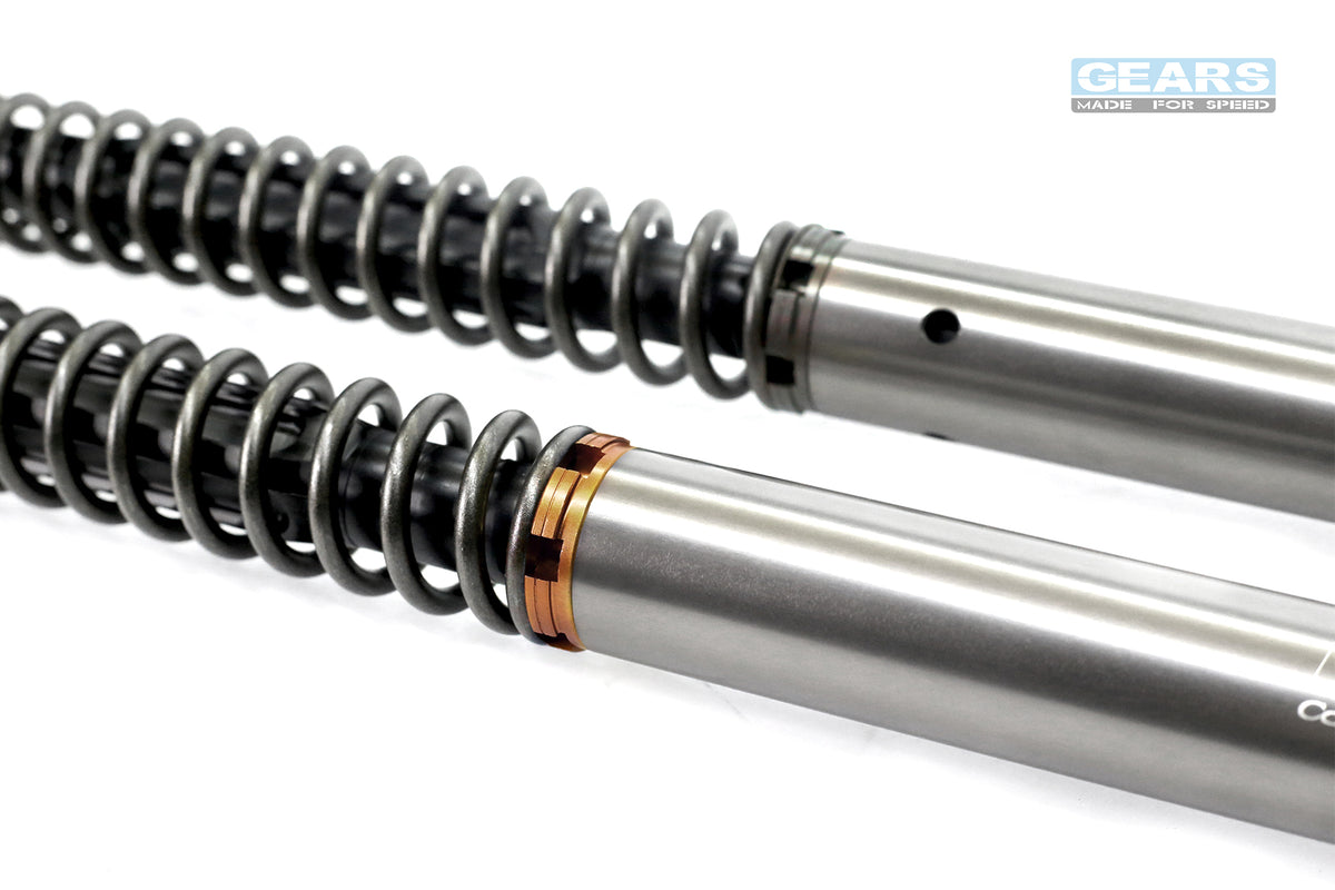 SUZUKI DR-Z4SM (25~) Front Fork Cartridge Inverted-Forks ( FFC-250