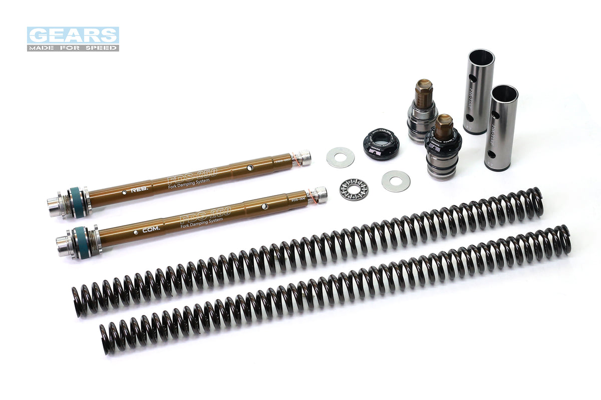SUZUKI GSX-R125/150 Fork Damper System (FDS-250) – Gears Racing