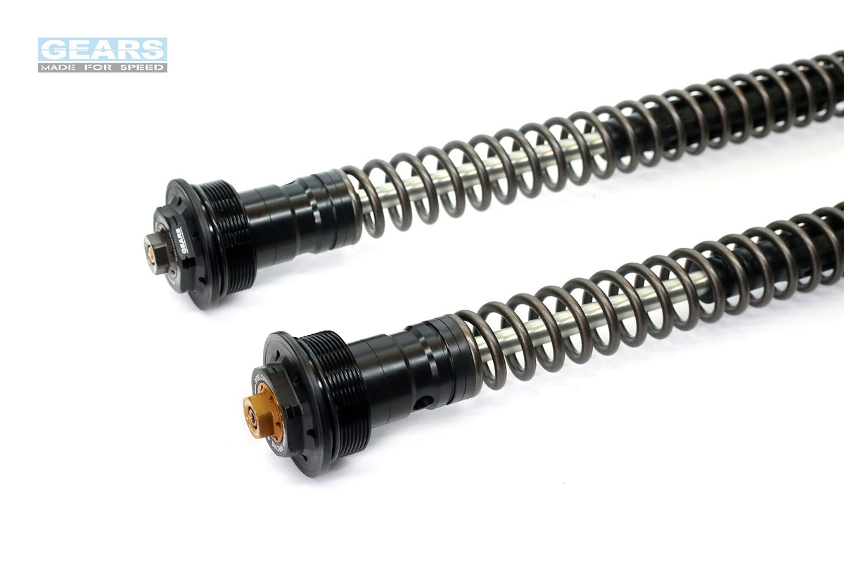 SUZUKI V-STROM 250SX (23~) Front Fork Cartridge Conventional-Forks
