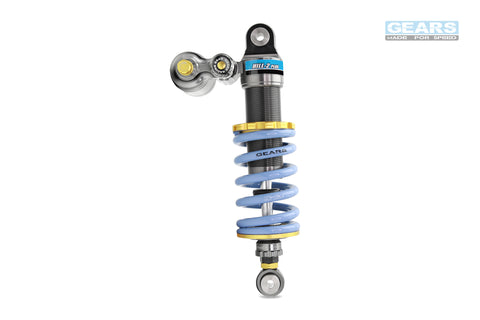 APRILIA RSV4 H2P Rear Suspension