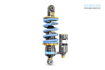 DUCATI Monster 797 H2 Rear Suspension