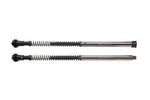 APRILIA TUONO 660 (21~) Front Fork Cartridge Inverted-Forks ( FFC-250-TT )
