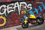 DUCATI Monster 821 (14~) H2 Rear Suspension
