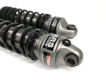 HARLEY DAVIDSON SPORTSTER XL1200 EV Rear Suspension