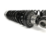 HARLEY DAVIDSON SPORTSTER XL1200 EV Rear Suspension