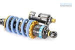 DUCATI Monster 797 H2 Rear Suspension