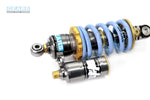 DUCATI Monster 797 H2 Rear Suspension