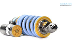 DUCATI Monster 797 H2 Rear Suspension
