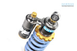 DUCATI Monster 797 H2 Rear Suspension
