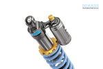HONDA CRF300 RALLY H2 Rear Suspension