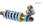 BMW G310GS H2P Rear Suspension