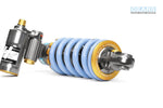 BMW G310GS H2P Rear Suspension