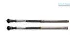 DUCATI Hyperstrada 821 Front Fork Cartridge Inverted-Forks ( FFC-250-TT )